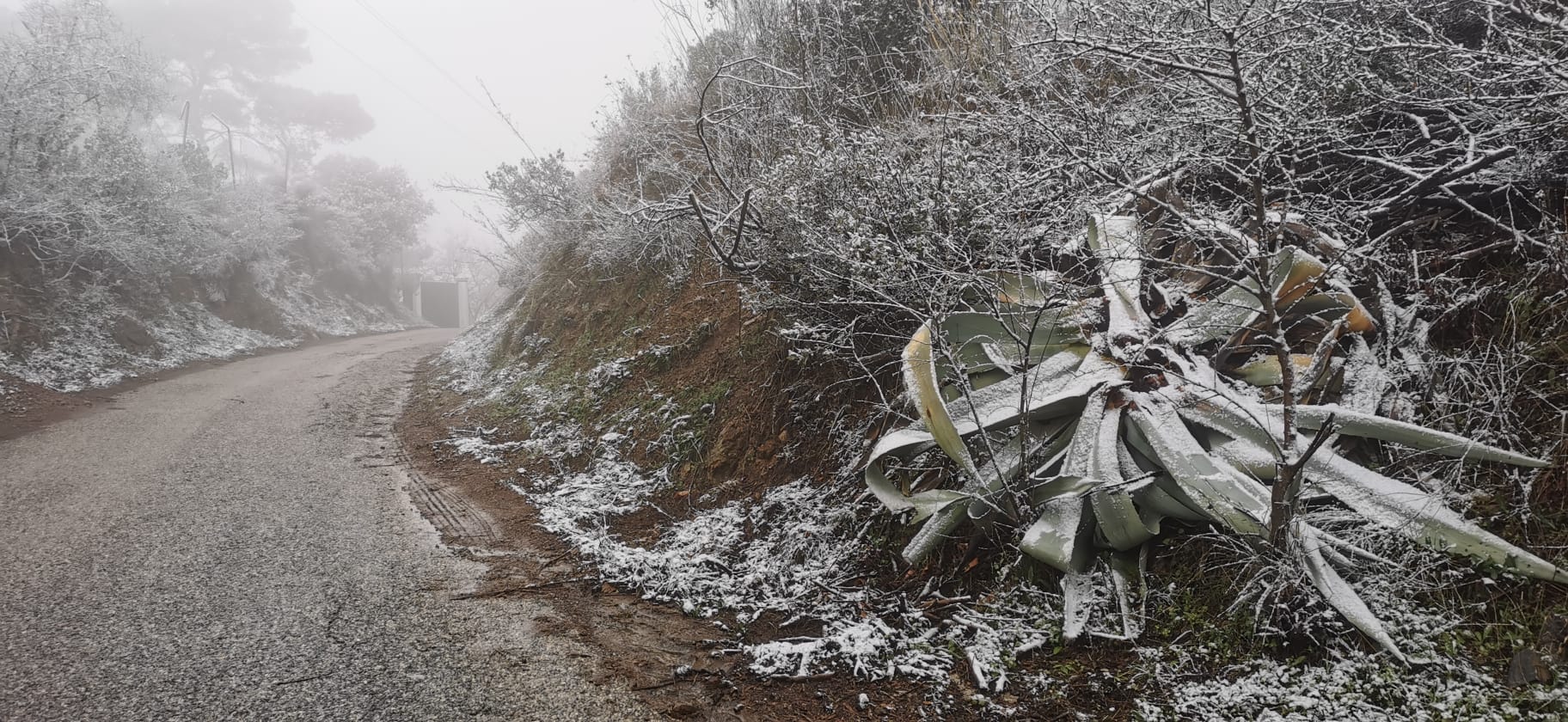 Fotos La nieve llega a la provincia de Málaga Diario Sur